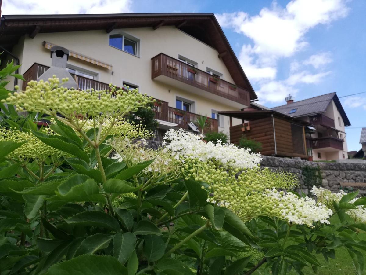 Dovje Apartments Mas מראה חיצוני תמונה