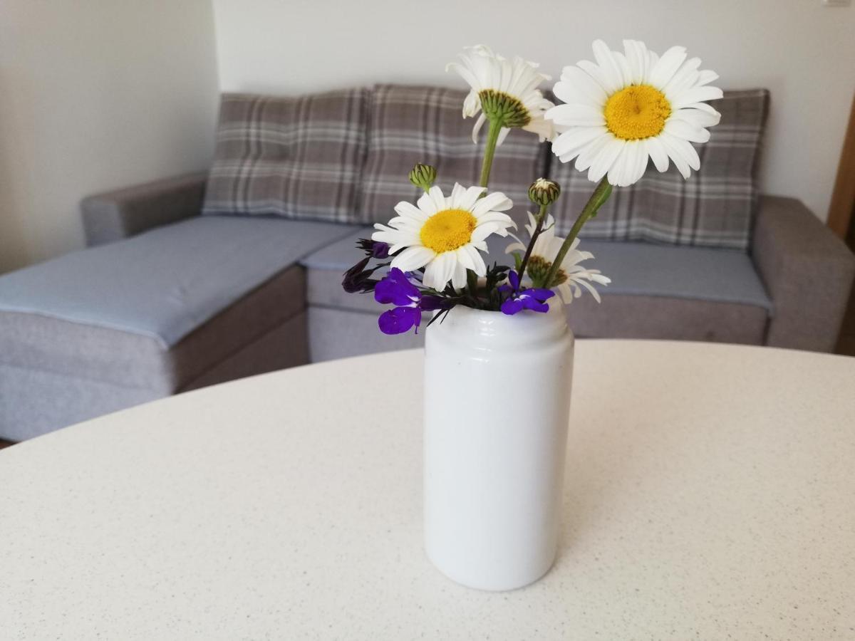 Dovje Apartments Mas מראה חיצוני תמונה