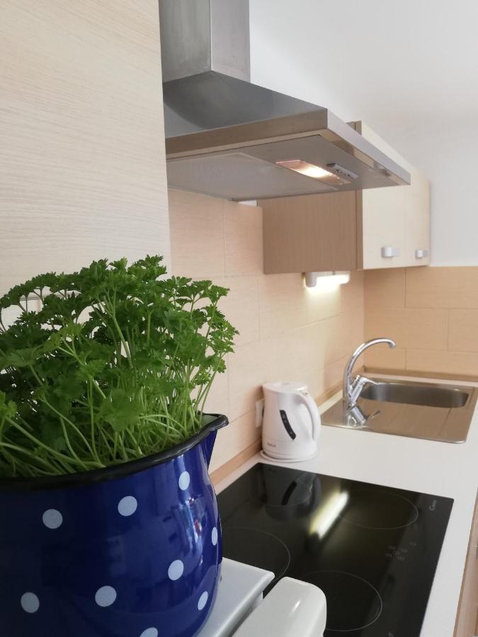 Dovje Apartments Mas מראה חיצוני תמונה